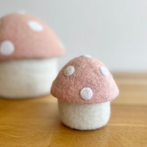 Sheep Ish Design: Toadstool box - Blush