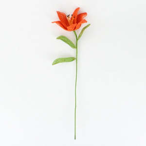 Hollie Ryan: Orange Lily