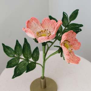 Hollie Ryan: Rosa Canina