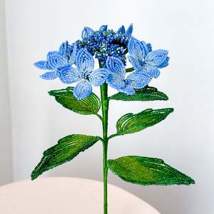 Hollie Ryan: Hydrangea Macrophylla