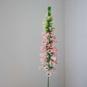 Hollie Ryan: Foxglove III