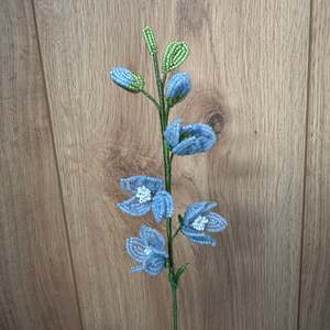 Hollie Ryan: Lark Spur