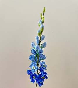Delphinium