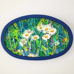 A Cluster of Daisies