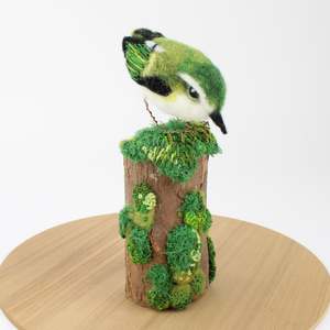 Jenny Pullar: Titipounamu - Rifleman