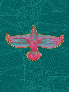 Nga Tamariki - Owaaku