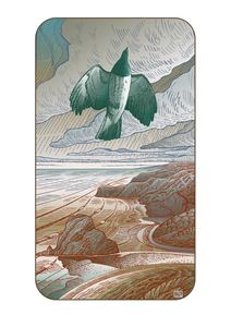 Rob Barrington: Kereru Wood Pigeon @ Piha