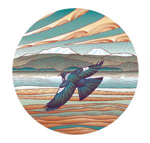 Rob Barrington: Tui @ Taupo
