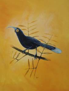 Rob Barrington: Huia in Kauri