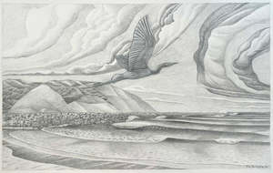 Art: Matuku Moana, Heron @ Lyall Bay, Wellington