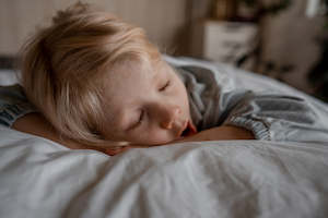 Better Sleep: Wisewool Pillows