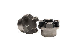 Flender 142 BIPEX Type BWN Coupling