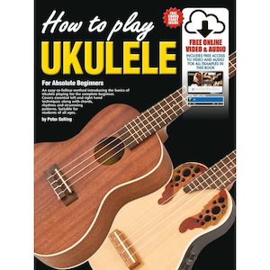 Tertiary: How to Play Ukulele for Absolute Beginners