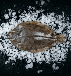 Lemon Sole Whole Fresh