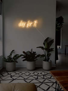 Sexy Naughty Neon Signs: Day for it LED Neon sign