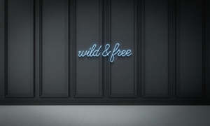 Sexy Naughty Neon Signs: Wild & Free