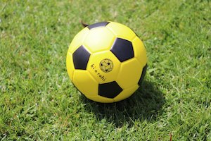 Products: Ki o Rahi Ki (Ball)