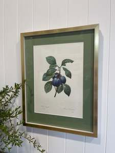 Wall Decor: Pierre-Joseph Redoute Still Life Print- Plum