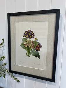 Wall Decor: Redoute Primulas