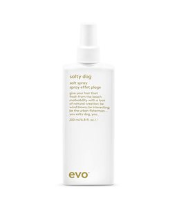 Products: EVO SALTY DOG SALT SPRAY