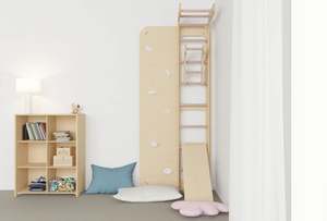 Playroom: Swedish Ladder | Indoor Gym And Rock Climbing Wall | Birch Ply
