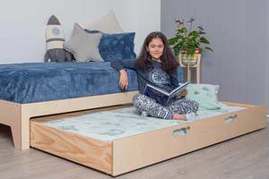 Beds With Trundle Bed: Trundle Bed | Birch Ply