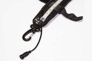 LED camping light