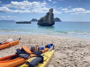 Products: Coromandel – 1 Day Tour (High School Students)