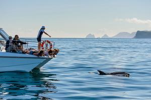 Bay of Islands – 3-Day – Adults