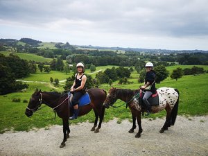 Horse Riding and Sheep World- Adults