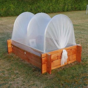 Products: Kiwibackyard Macrocarpa Garden