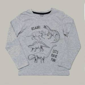 3 year olds - Kiwi Boyz Clothing: Grey L/S Dinosaur T-Shirt - Kids Long Sleeve Tee - Kiwi Boyz Clothing