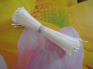 Bakegroup: Stamens EXTRA FINE white