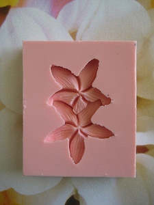 Carolines: Frangipani (DOUBLE) silicone mould 45mm