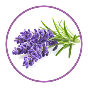 Roberts Confectionery Flavouring 30ml Lavender