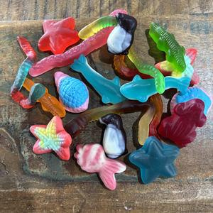 Sea Creatures Ocean friends Gummy Candy lollies