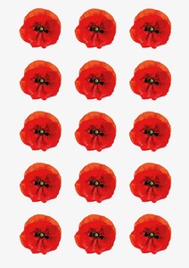 Floral Fruits Edible Printing: Design Sheet edible image Poppy Flowers