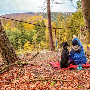 Kurgo Camping Tether