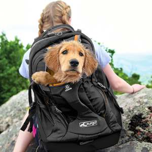Gear Safety: Kurgo Dog Carrier Backpack