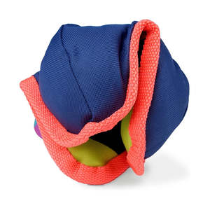 Toys: Coachi Chase & Treat