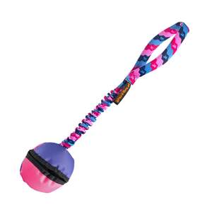 Toys: Tug-E-Nuff Clam Bungee