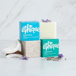 Grooming: Pooch Pawfect