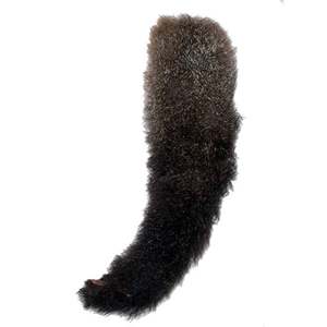 Possum Tail