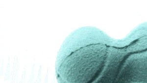 Fun Games: Playology Bone