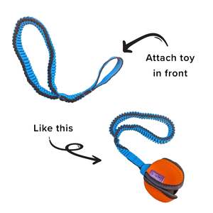 Fun Games: Bungee Handle