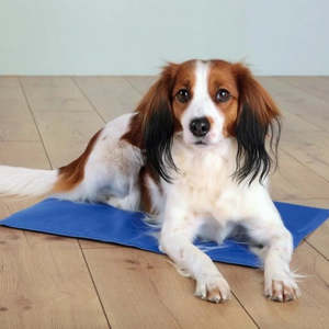 Comfort: Cooling Mat