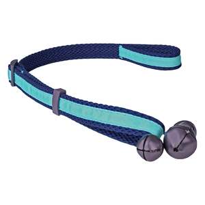 Training: Coachi Door Bells