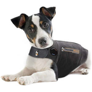 Health Wellbeing: ThunderShirt