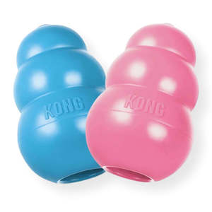 Kong Puppy