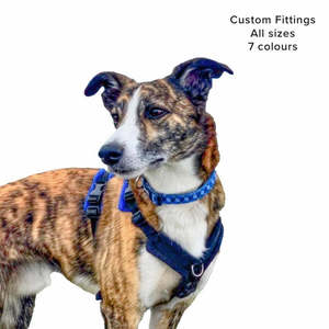 Perfect Fit Harness